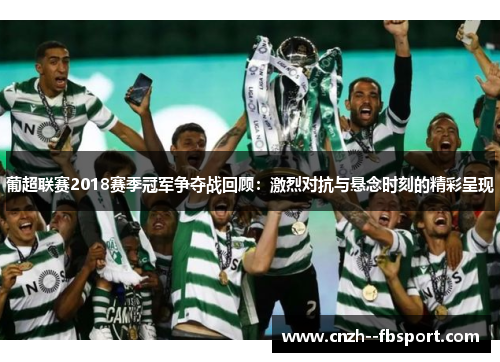 葡超联赛2018赛季冠军争夺战回顾:激烈对抗与悬念时刻的精彩呈现 葡超联赛2018赛季冠军争夺战回顾:激烈对抗与悬念时刻的精彩呈现