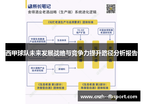 西甲球队未来发展战略与竞争力提升路径分析报告 西甲球队未来发展战略与竞争力提升路径分析报告