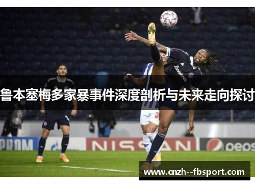 鲁本塞梅多家暴事件深度剖析与未来走向探讨